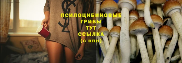 стафф Абдулино