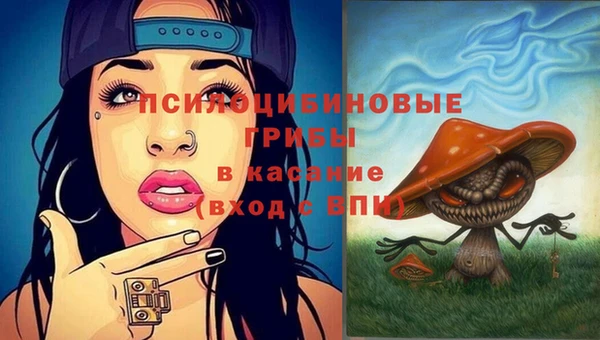стафф Абдулино